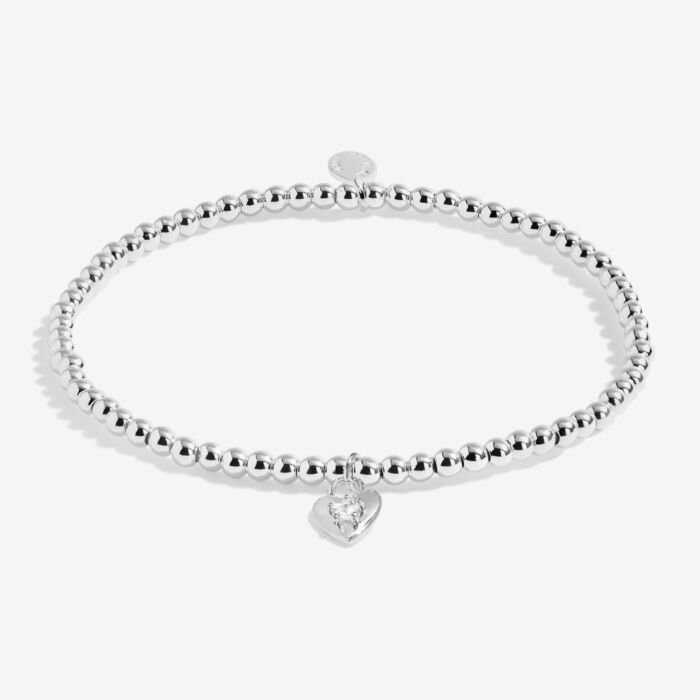 Joma Jewellery A Little 'You're The Friend Everyone Wishes They Had' Bracelet In Silver Plating